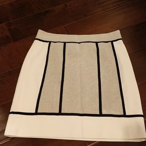 Ann Taylor skirt
